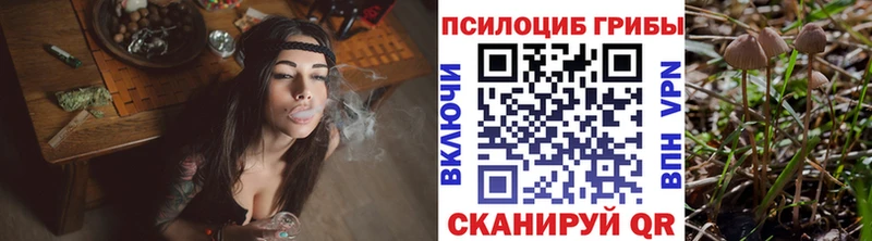 купить  сайты  Няндома  Галлюциногенные грибы MAGIC MUSHROOMS 
